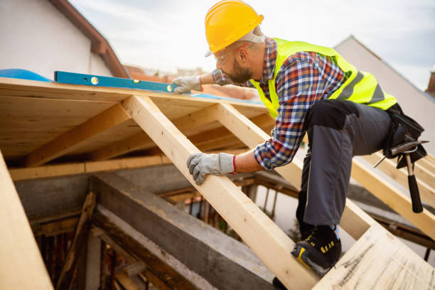 Best Roof Gutter Cleaning  in Osborne, KS