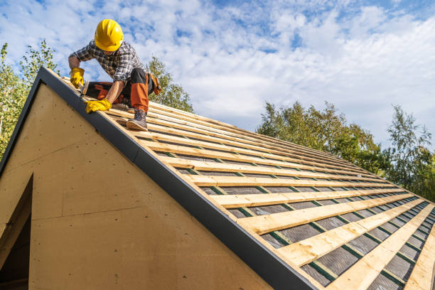 Roof Gutter Cleaning in Osborne, KS